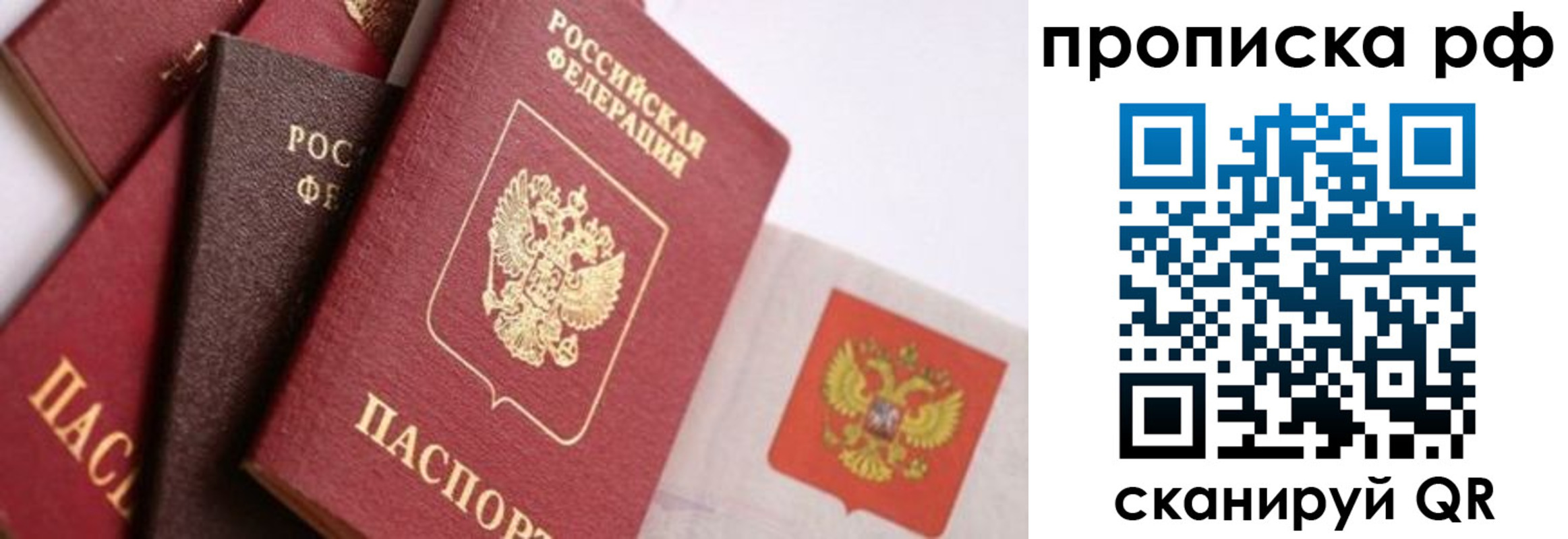 прописка ребенка в Светлогорске